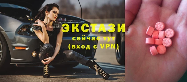 стаф Богородицк