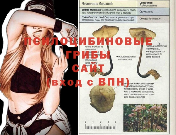 мяу мяу мука Богданович