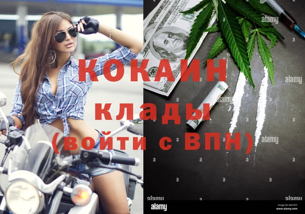 стаф Богородицк