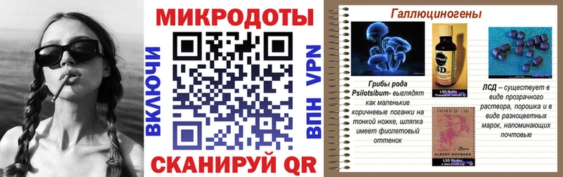 Псилоцибиновые грибы Psilocybe  Купить закладки  Арсеньев 